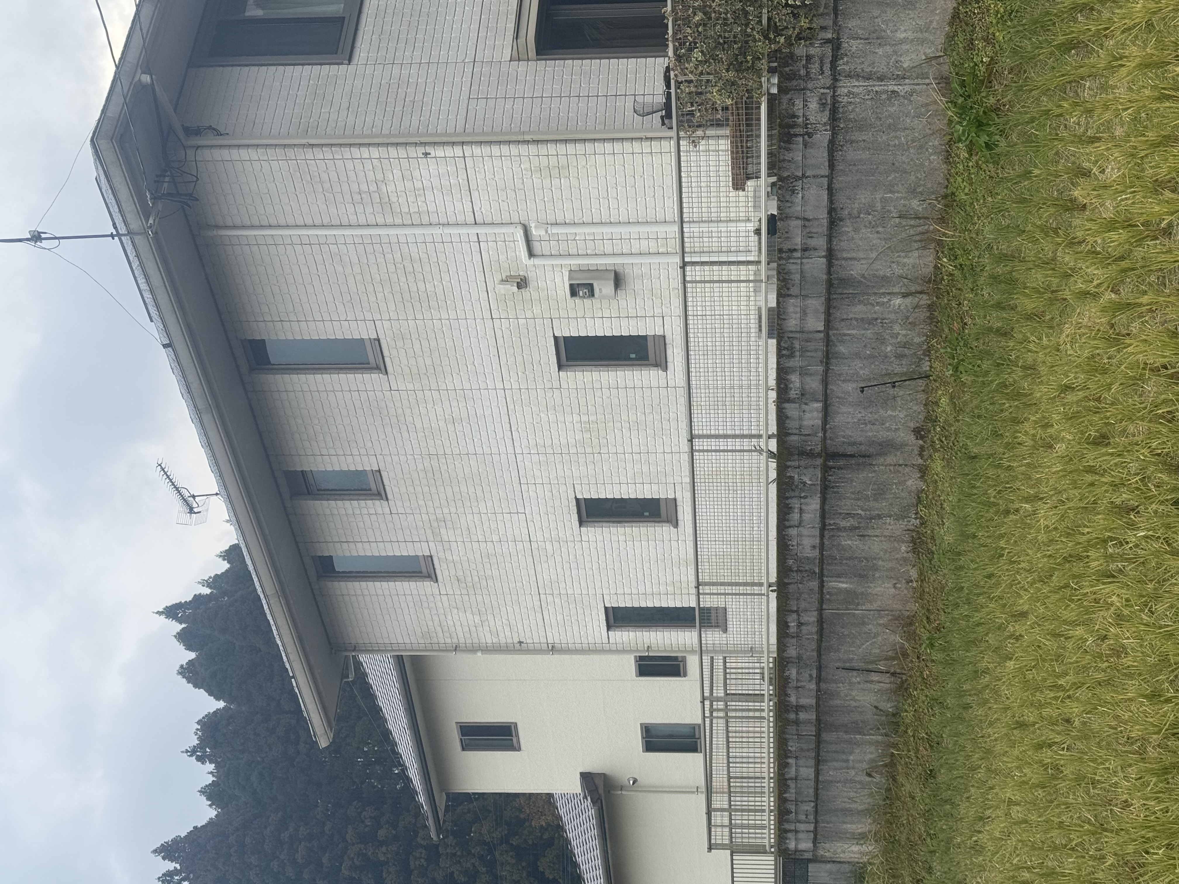 環境に優しい洗剤の使用