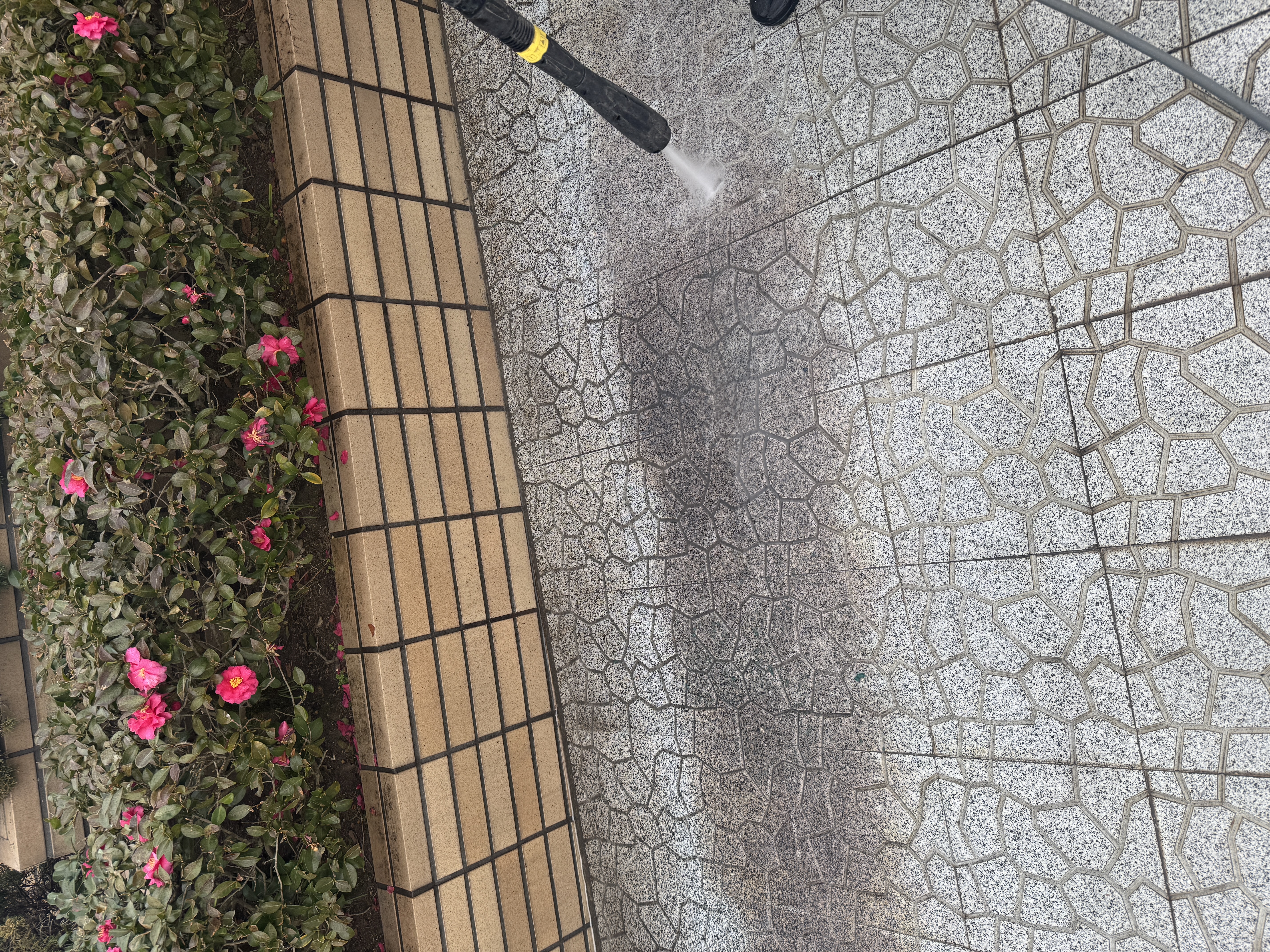 高圧洗浄機に頼らない！完全手洗いでお家キレイ